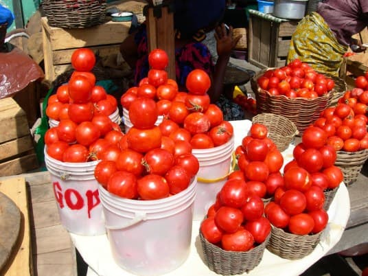 Tomato Traders Warn of Price Spikes After Burkina Faso Attacks Disrupt Supply, Renew Calls for Irrigation Investment